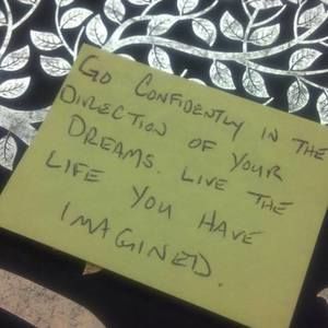 Meet your Posher, Shannon